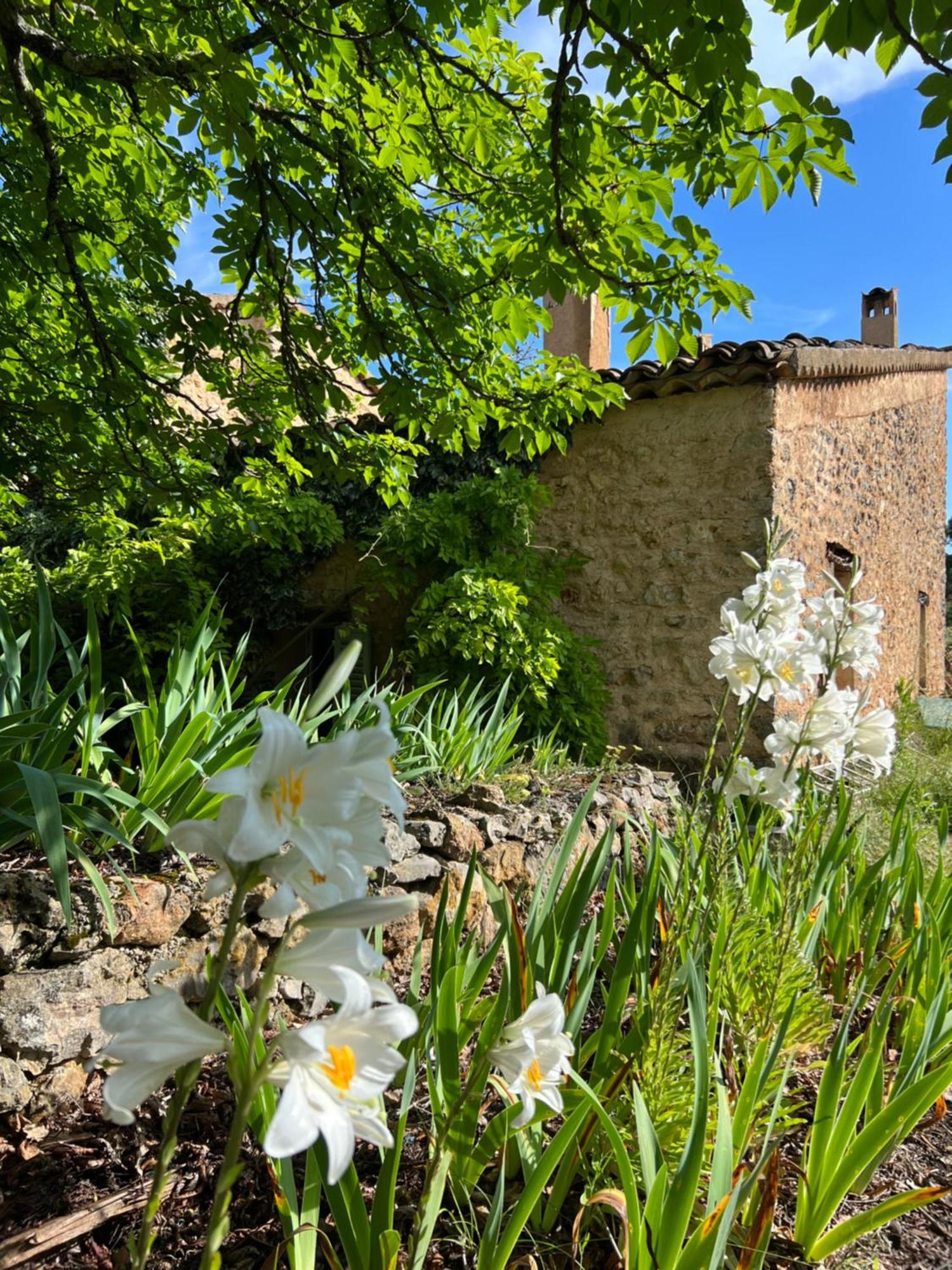 La Cabane De Babarot Опс Екстер'єр фото