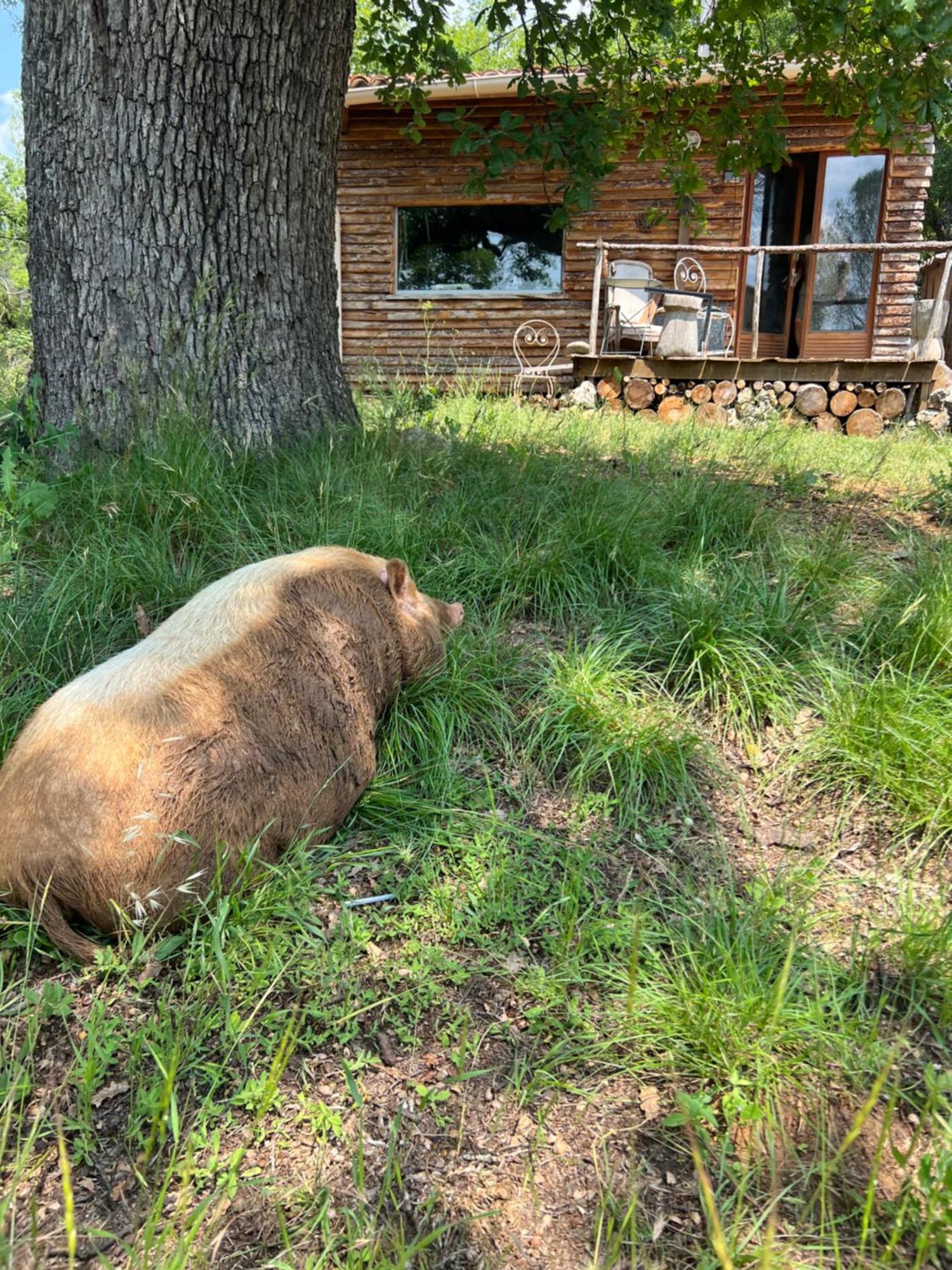 La Cabane De Babarot Опс Екстер'єр фото